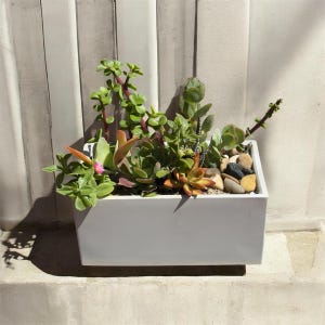 May include: A rectangular white planter box filled with a variety of succulents. The succulents are a mix of green, orange, and pink hues, with small pebbles and stones on the surface. The planter is set against a backdrop of vertical, light-colored wooden panels.