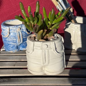 May include: Three ceramic planters shaped like denim shorts. One is light blue, another is white, and the third is also white. Each planter holds a succulent plant. Paintbrushes are in a white planter in the background.