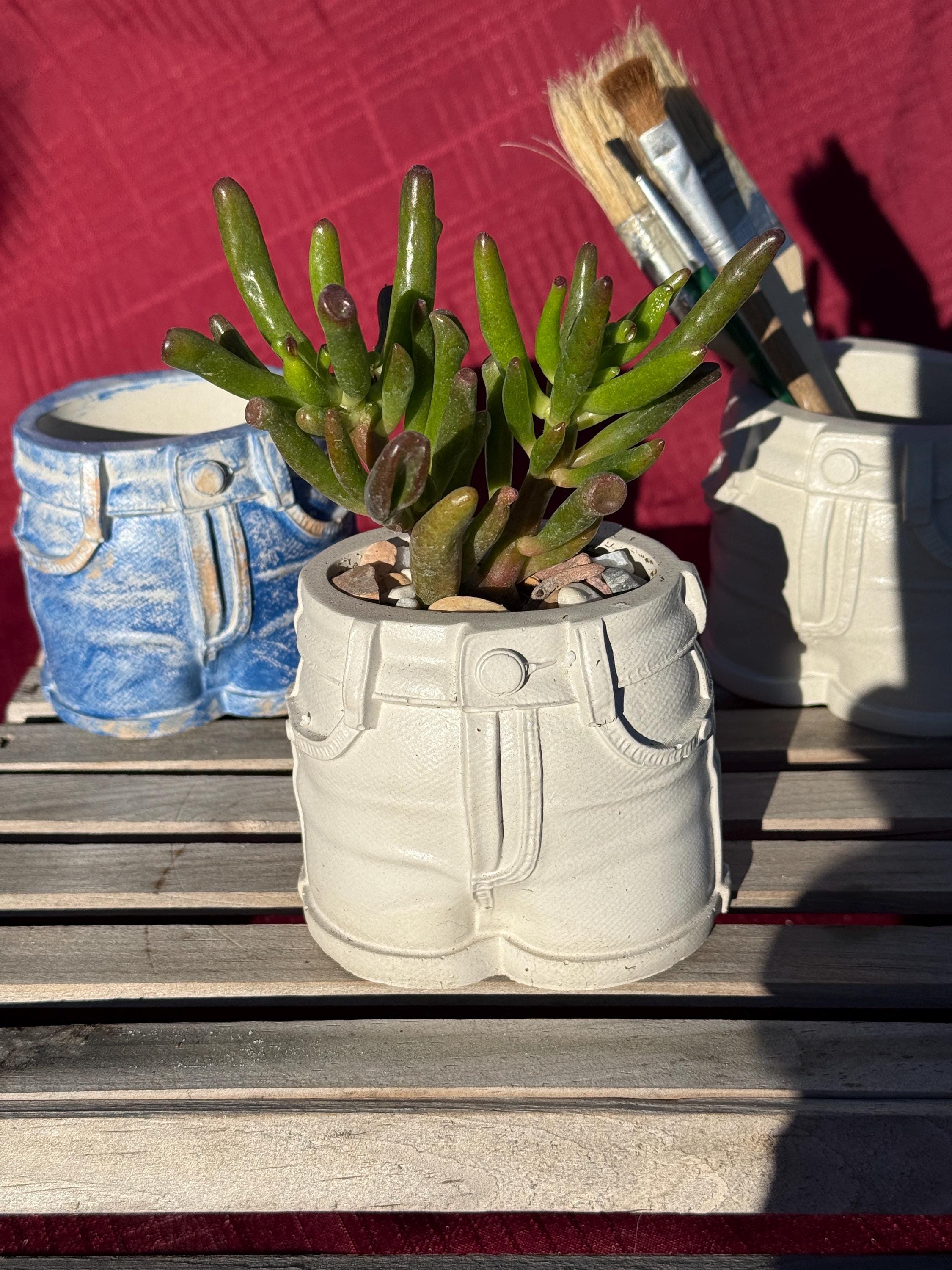 Concrete Jeans Planter, Micro-Succulent Pot, Trinket Holder, Pens Markers Make-up Brushes product image