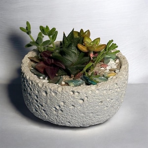 May include: A small, round, textured, light gray concrete planter filled with various succulents and small decorative stones. The succulents are green, red, and yellow-green. The planter is a decorative item for home or office.