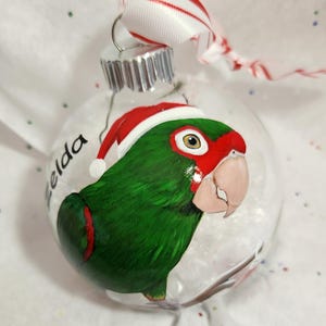 May include: A clear glass Christmas ornament featuring a hand-painted green parrot with a red head and a Santa hat. The parrot has a light pink beak and is named "Zelda". The ornament is topped with a silver cap and a red and white striped ribbon.