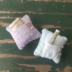 May include: Two small plush pillows with pockets. One is lavender with a dollar bill inside the pocket. The other is light blue with a white tooth design and a dollar bill inside the pocket.