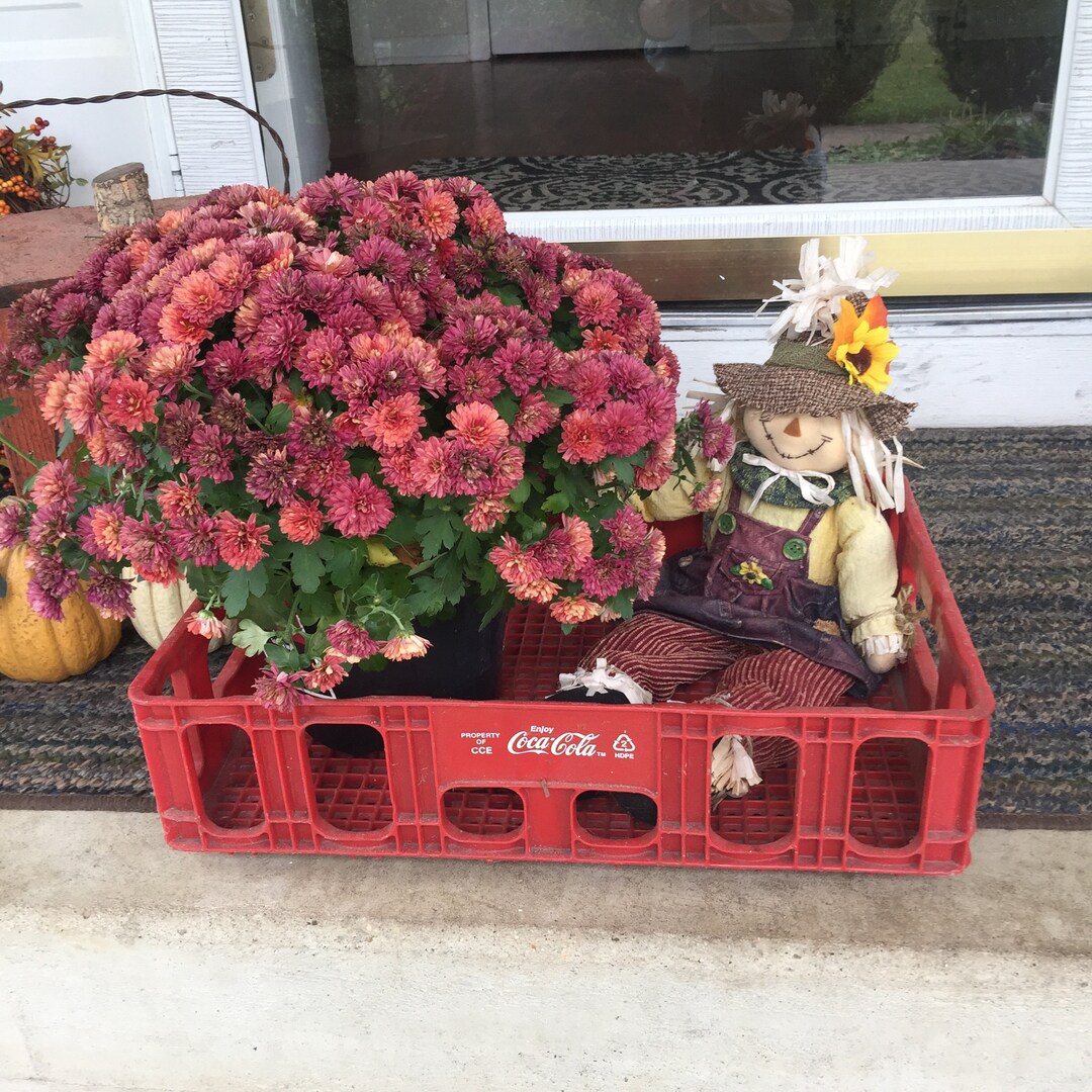 Old Plastic Coke Crate Etsy