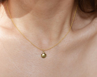 Mini Shell Necklace