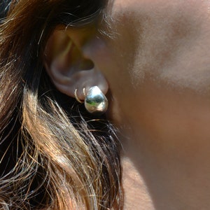 Teardrop Earrings image 3