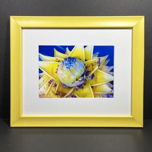 Fine Art Original BEJEWELED BLOSSOM Photo in Yellow Frame Signed COA