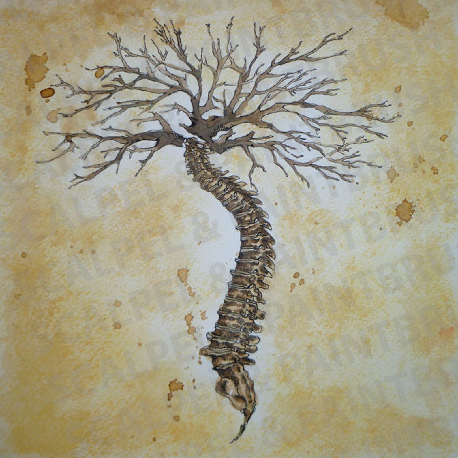 10x10 Arbor Vitae Tree of Life Series of 3 Etsy