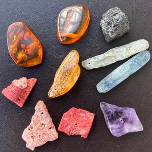 Puede incluir: Una colección de varias piedras preciosas y minerales, incluyendo ámbar, coral y cianita. Las piezas de ámbar son translúcidas con tonos naranja cálido. El coral es de un rojo-rosa vibrante. Los cristales de cianita son azules y translúcidos. También hay un mineral negro texturizado.
