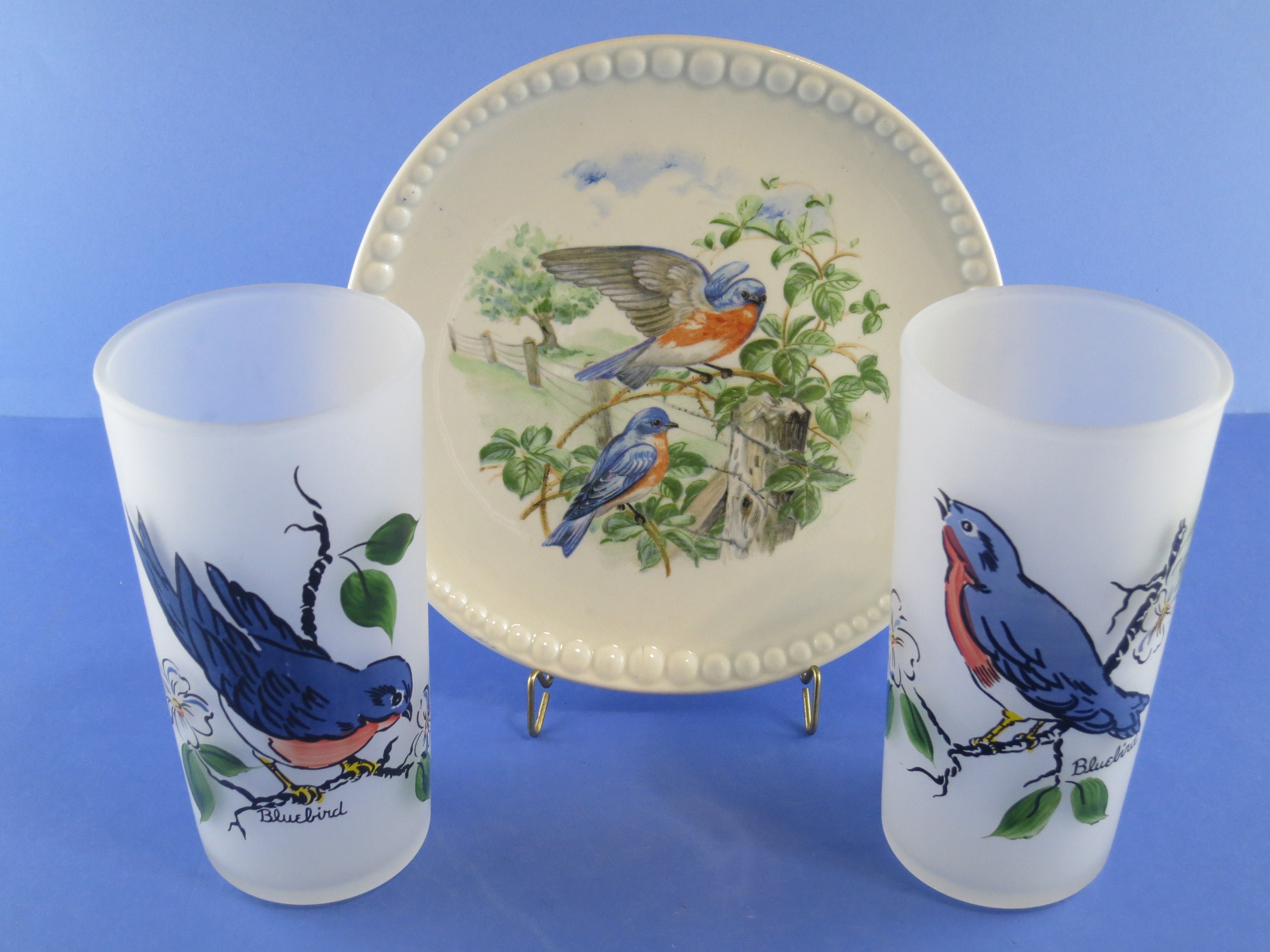 Autumn Bluebird Glassware Set of 2 Everyday Drinking Glasses, Bluebird  Glasses, Bluebird Glass, Bluebird Glassware, Fall Wedding Glasses 