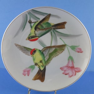 Wall Hangers-4 Bird Plates