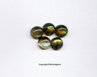 Natural 8 mm Round Cut Labradorite Cabochon For One