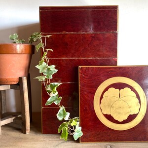 May include: A tiered, lacquered wooden box set with a rich, reddish-brown finish. A square, matching piece features a gold emblem within a gold circle. A terracotta pot with a plant sits on a wooden stand.