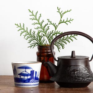 May include: A black cast iron teapot with a brown wooden handle and a blue and white ceramic teacup with a Japanese-inspired design. A vase with green leafy branches sits behind the teapot.