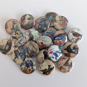 May include: A collection of 20 round, colorful, vintage-style buttons featuring various bird illustrations. The buttons are decorated with a variety of patterns and designs, including floral motifs, cages, and musical notes.