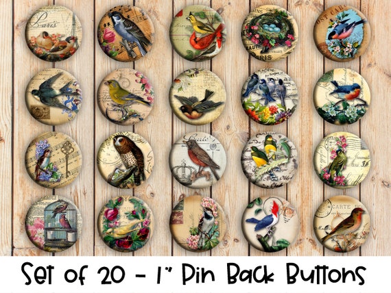 Vintage Birds - Set of 20 Buttons or Magnets - 1" or 1.25" pin buttons or magnets - Vintage Bird Badges - Vintage Birds Buttons