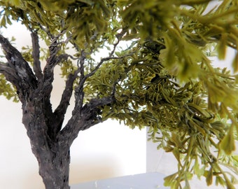 Magnifique arbre d'ombrage de 30,5 cm.