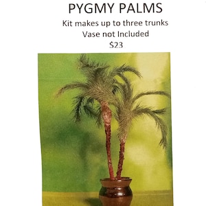 Kit:  Pygmy Palm Cluster