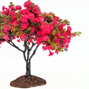 Crafted Tonto Crape Myrtle, 6 inches tall