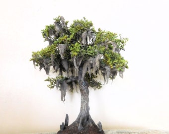 Crafted 6" Bald Cypress Tree with cypress knees