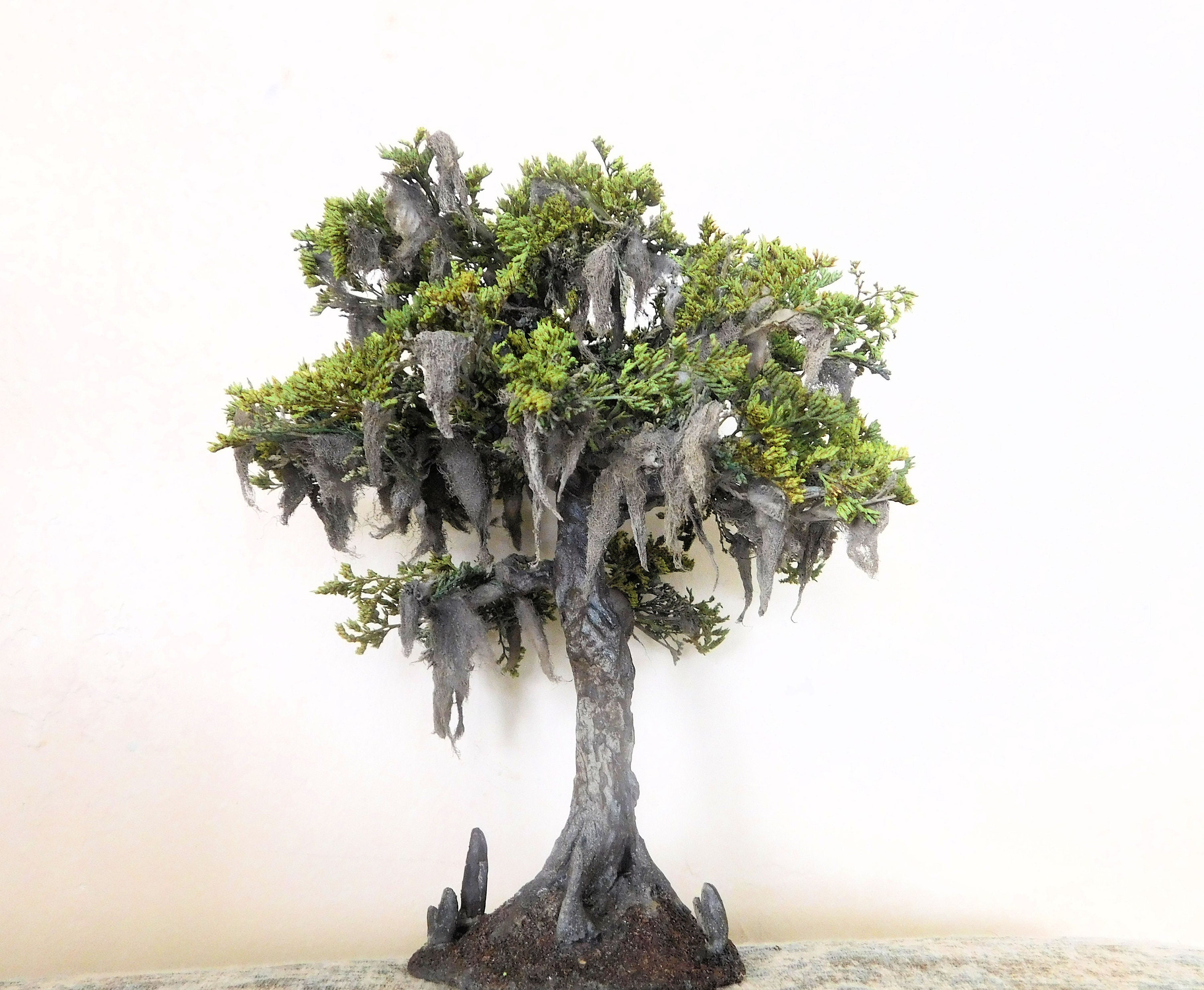Crafted 6 Bald Cypress Tree With Cypress Knees Etsy