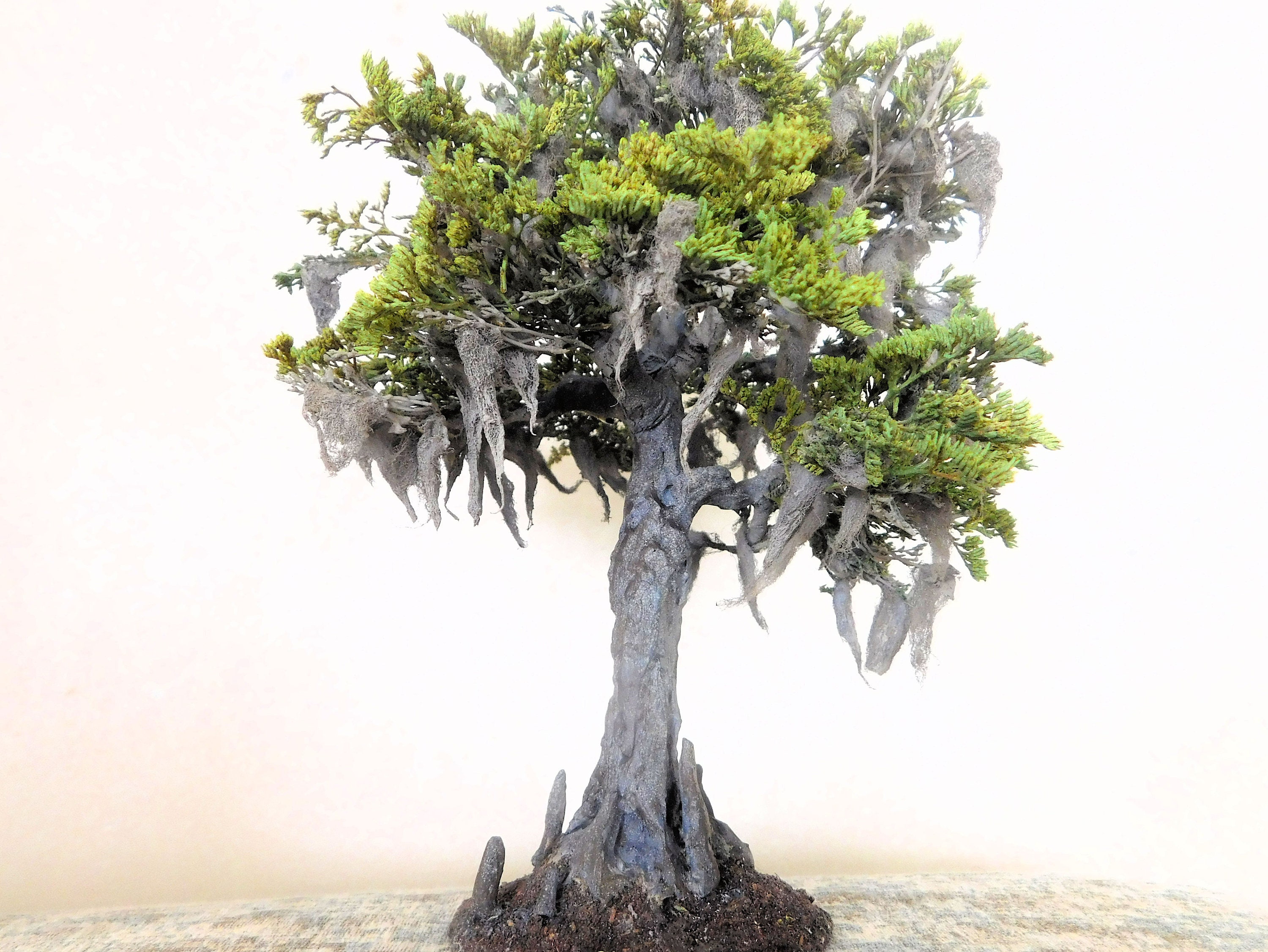 BECOME TREE ピアス　両耳 Become tree Become tree ピアス