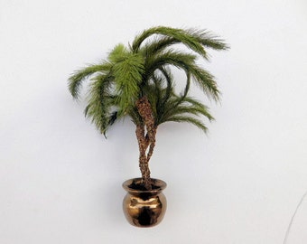 SALE: Pygmy Palms  7" tall