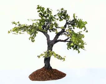 SALE: Graceful shade tree