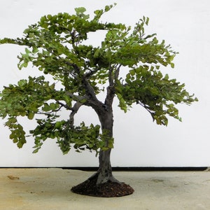 Crafted Graceful Shade Tree 9 inches tall image 4