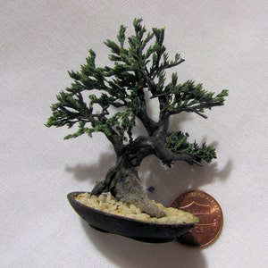 Crafted 2&quot; Juniper Bonsai