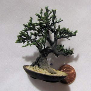 Crafted 2" Juniper Bonsai