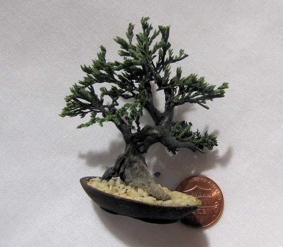 Crafted 2" Juniper Bonsai