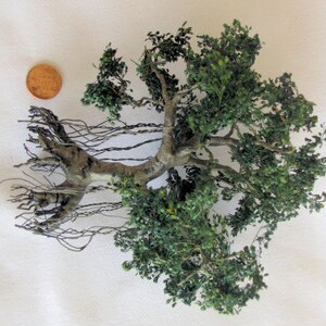 Puede incluir: Un &aacute;rbol bons&aacute;i en miniatura con hojas verdes y un tronco grueso. El &aacute;rbol tiene ra&iacute;ces largas y delgadas que se extienden desde la base del tronco.