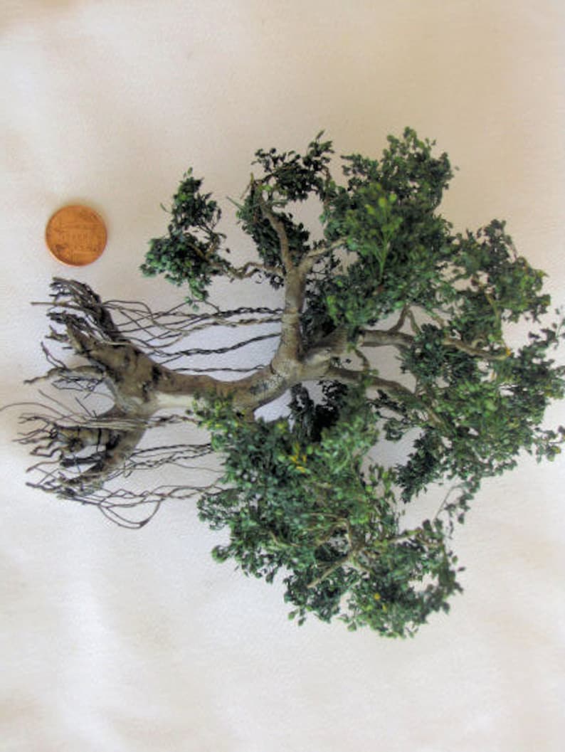 Puede incluir: Un &aacute;rbol bons&aacute;i en miniatura con hojas verdes y un tronco grueso. El &aacute;rbol tiene ra&iacute;ces largas y delgadas que se extienden desde la base del tronco.