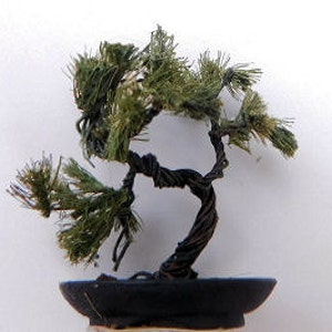 Crafted White Pine Bonsai miniature