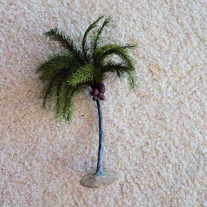 Coconut Palm 8&quot; in height