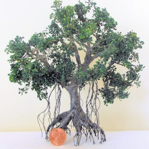 Crafted Florida Mangrove