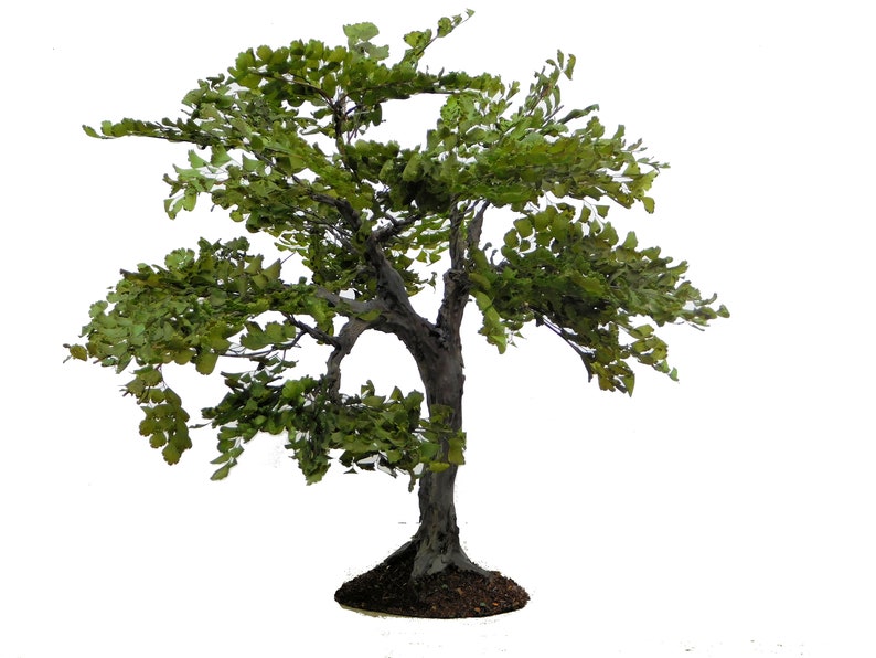 Crafted Graceful Shade Tree 9 inches tall image 1