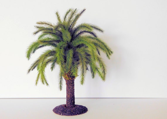 Canary Island Date Palm Tree 12 inches in height Canary Island Date Palm Tree 12 inches in height