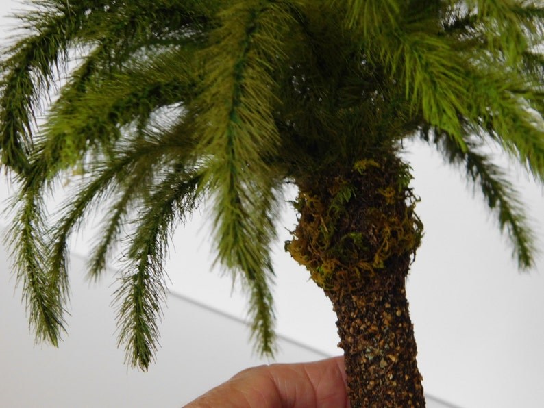 May include: A miniature palm tree with a brown trunk and green fronds. The trunk is covered in a brown, textured material and has a layer of green moss at the top.