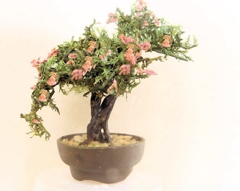 Crafted Mini Mimosa Bonsai