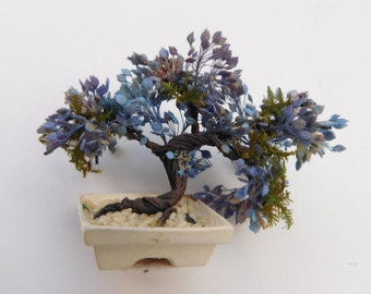 KIT: Jacaranda Bonsai