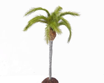 Crafted Queen Palm 7" tall