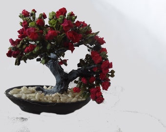 キット: ツツジの盆栽 - Etsy 日本