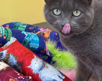 Catnip Kicker Toy with Feather Boa Tail