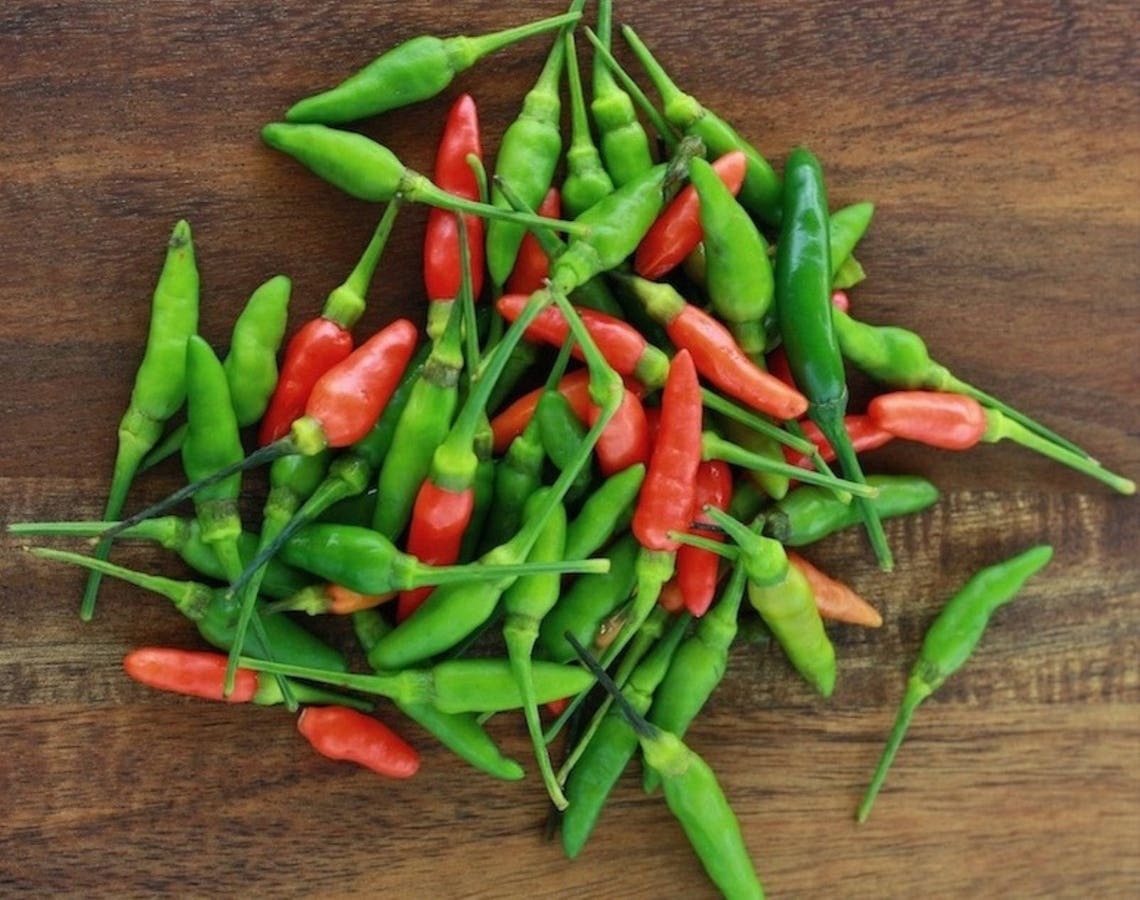 50 seeds of African Bird Eye Chilli for growing Etsy