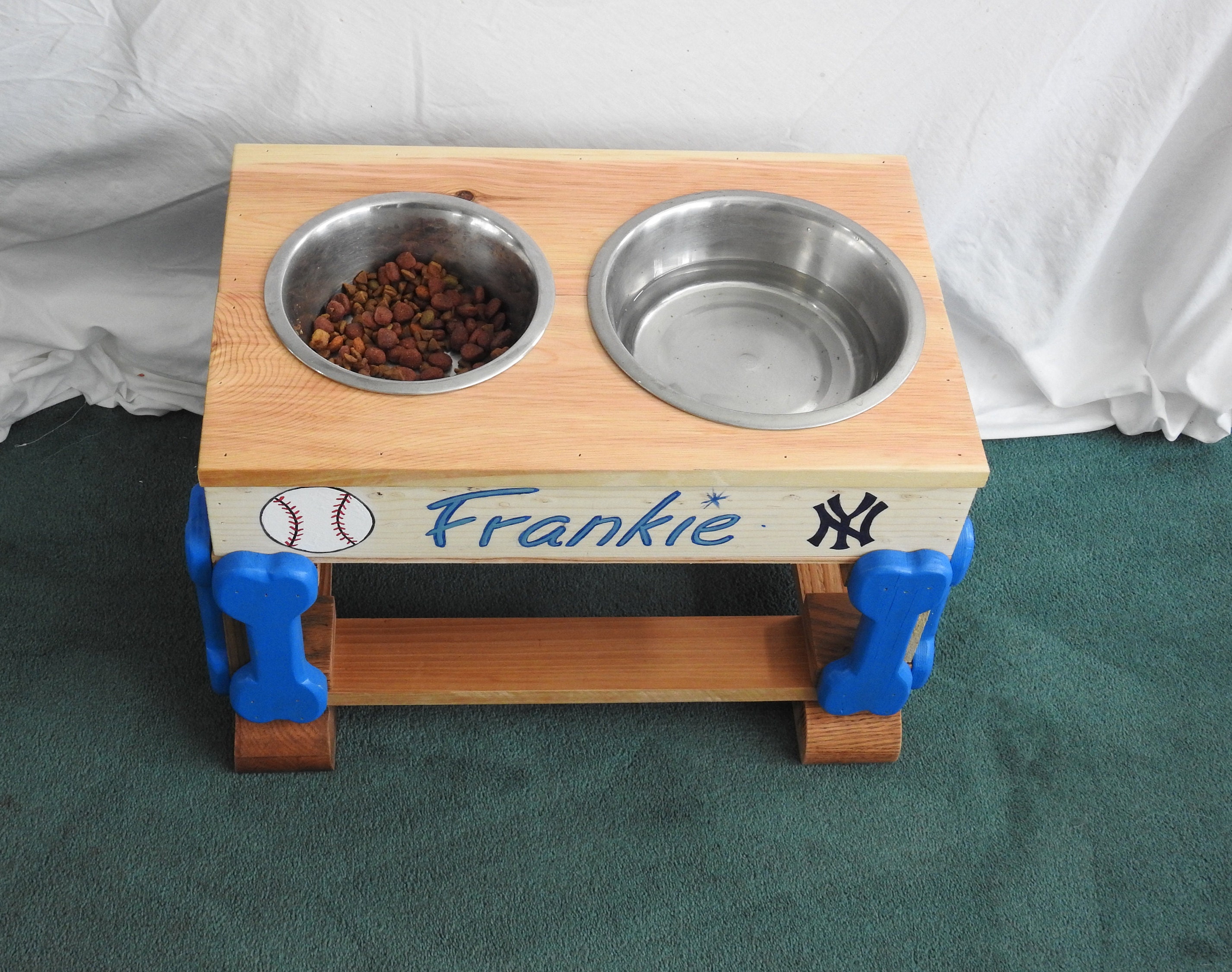 cool dog dishes