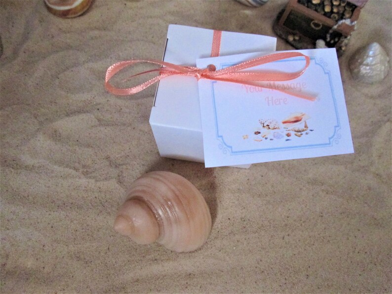 Bridal Showers 3D Realistic Sea Shell Gift Soap in Gift Box Weddings