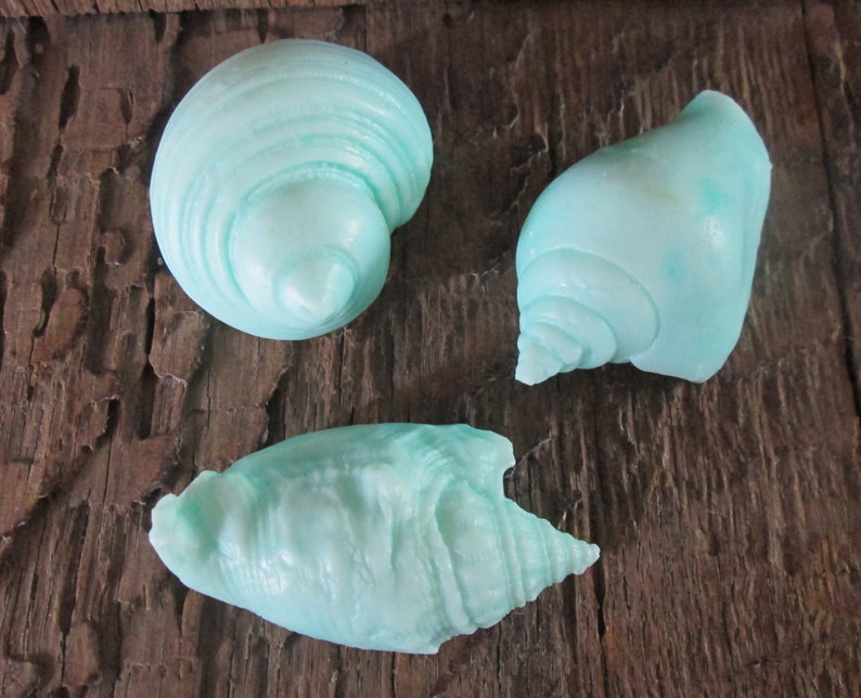 Bridal Showers 3D Realistic Sea Shell Gift Soap in Gift Box Weddings