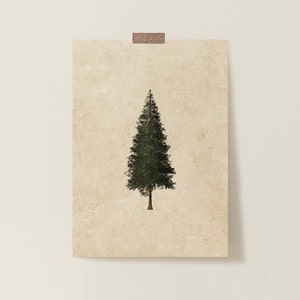 Christmas Tree Print | Christmas Decor | Holiday Decor | Holiday Art | Christmas Art