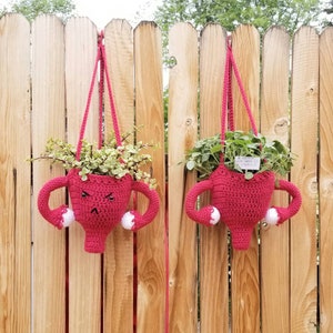Crocheted Uterus Hanging Planter, Plant Basket, Hysterectomy Gift ...